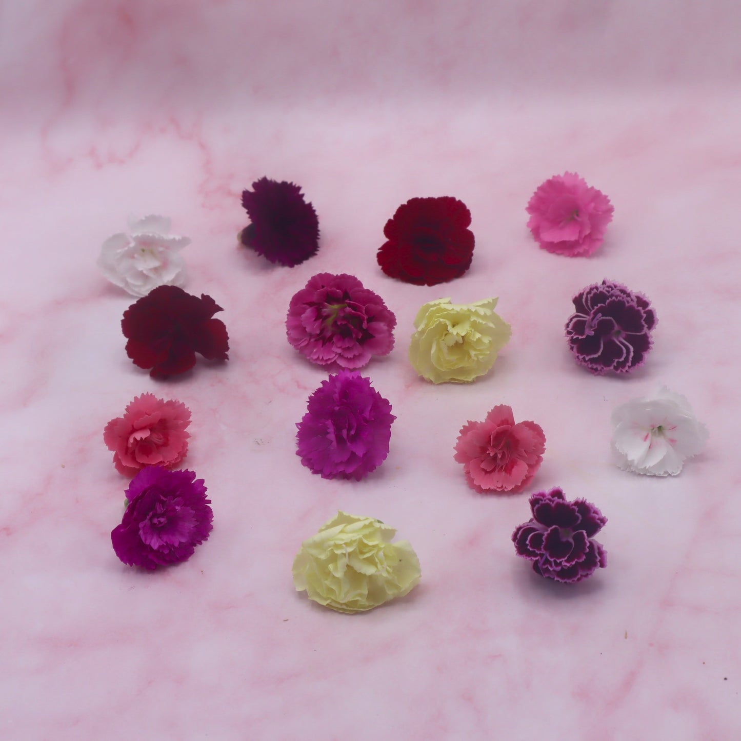 Eetbare anjer, eetbare bloemen, floral delight webshop