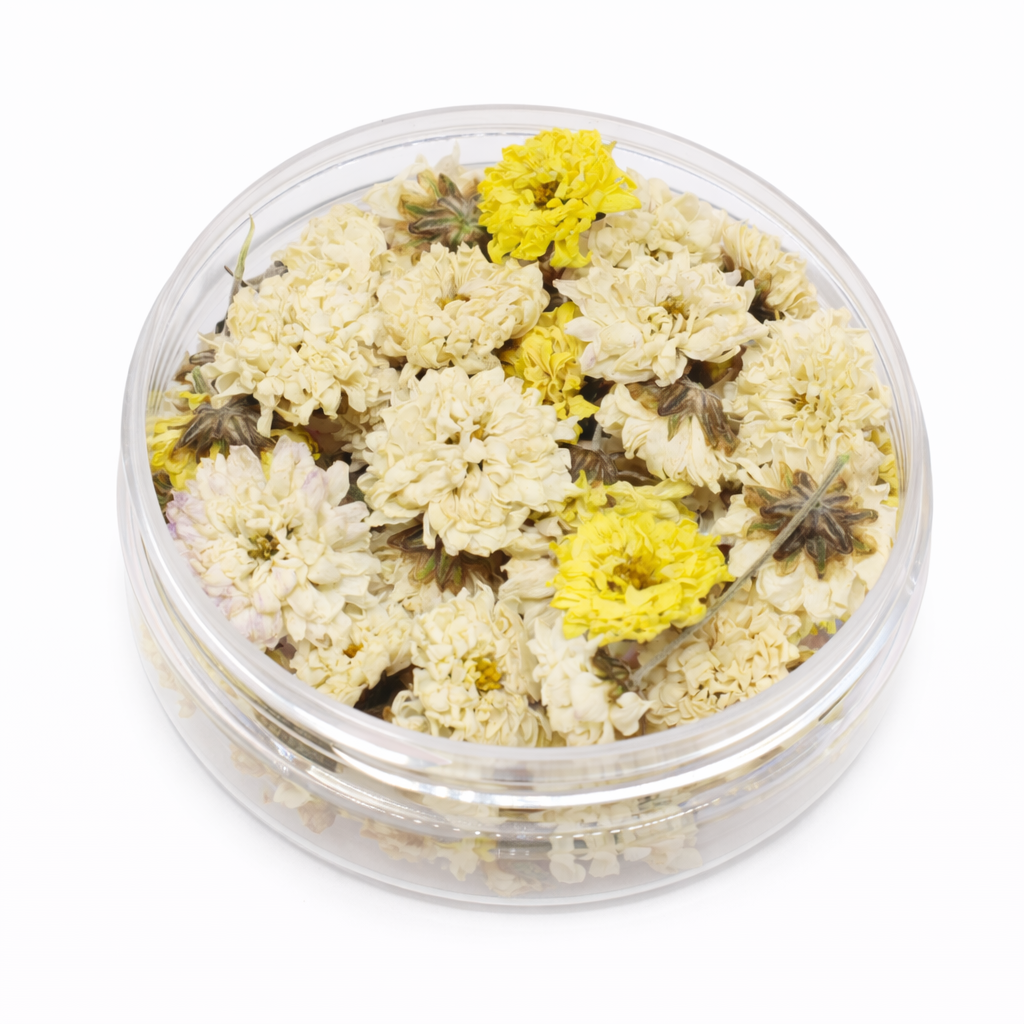 Eetbare gedroogde chrysanten