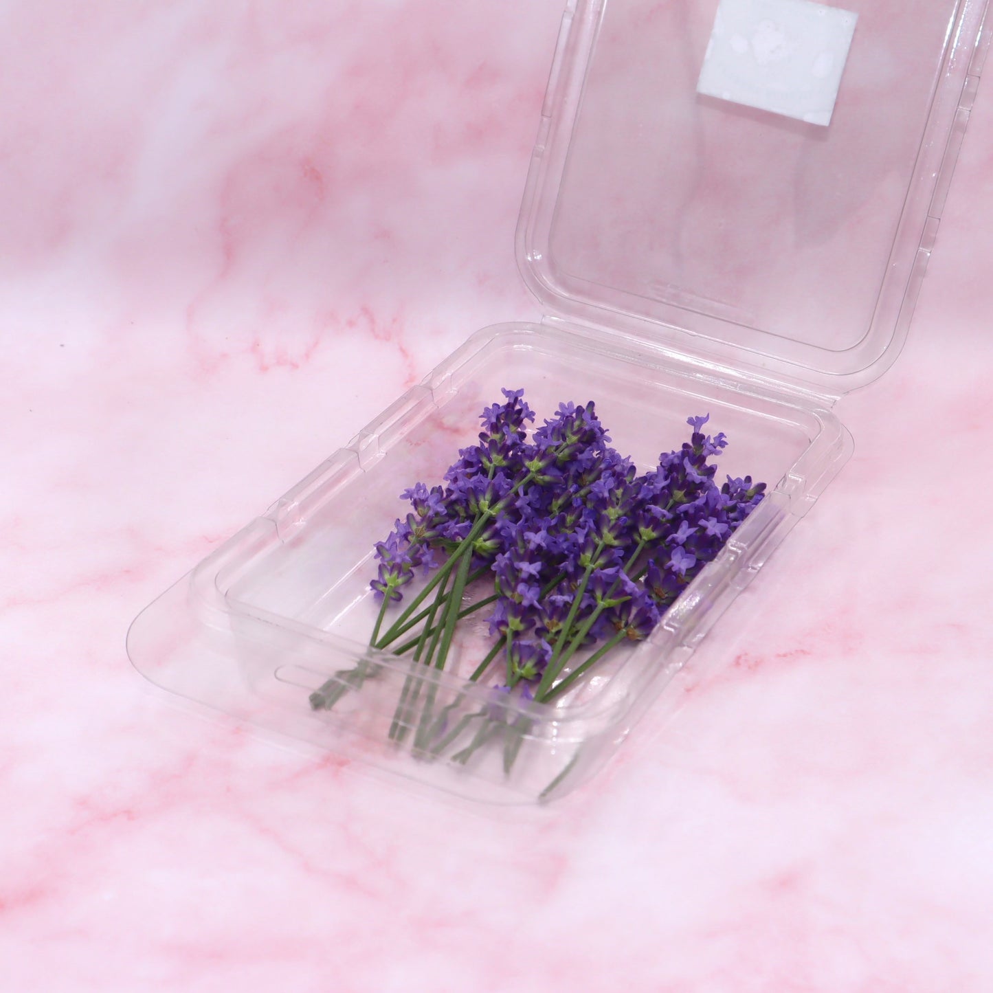 Verse lavendel. Eetbare bloemen, cocktails, champagne, mocktails, garnering, limonades, taarten