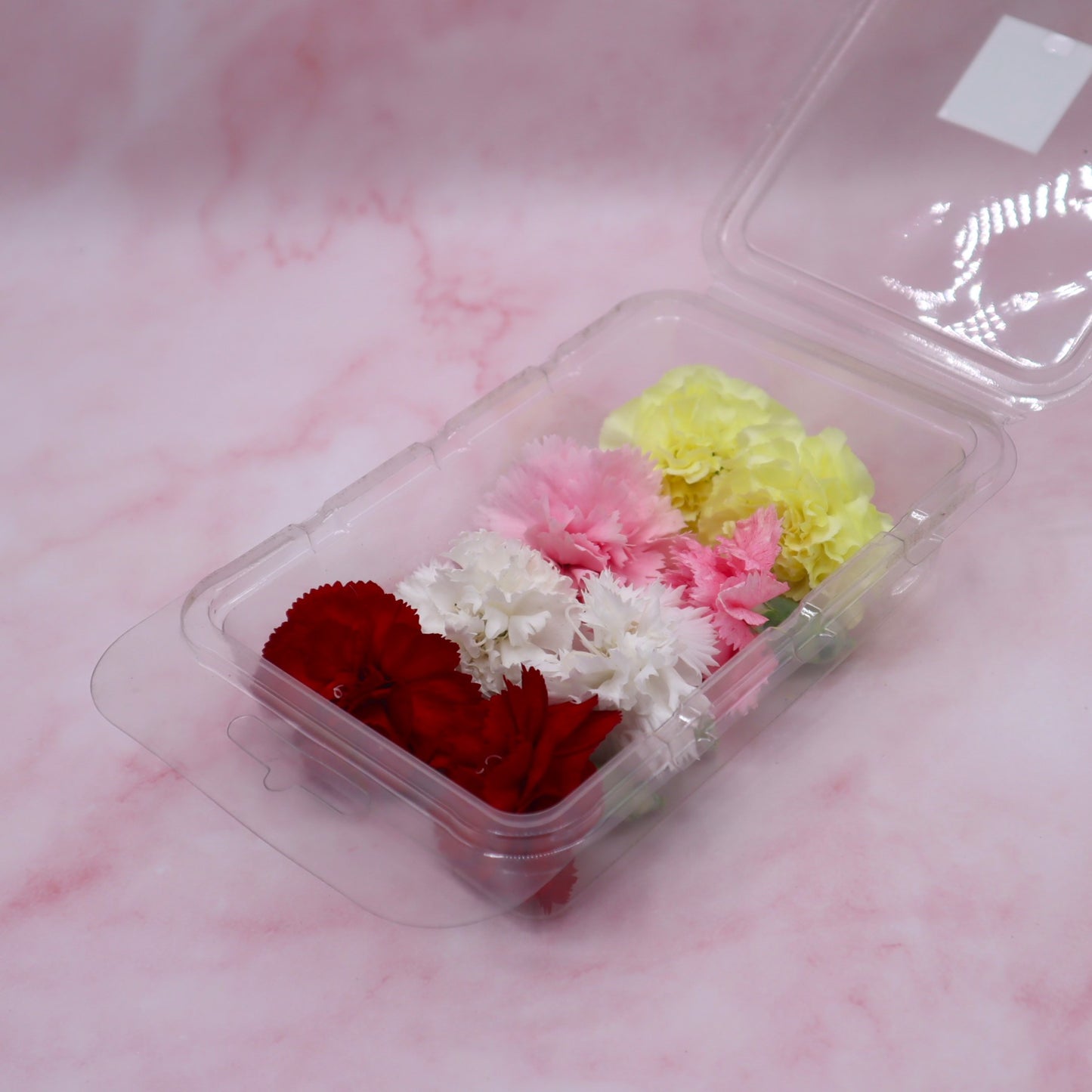 Verse eetbare Anjer - Groot, geel rood roze wit