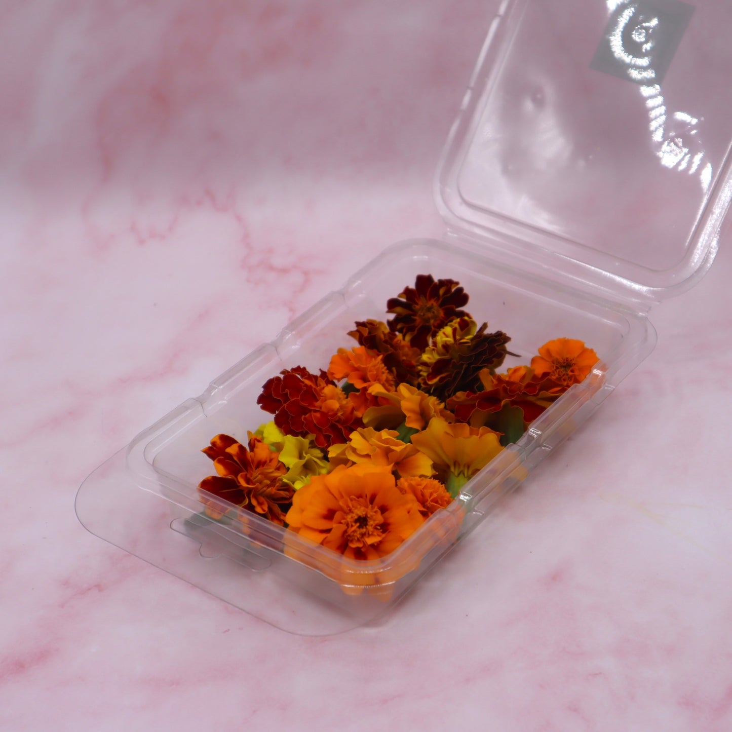 Tagetes vers, afrikaantje Eetbare bloemen. Floral Delight. Oranje bloemen