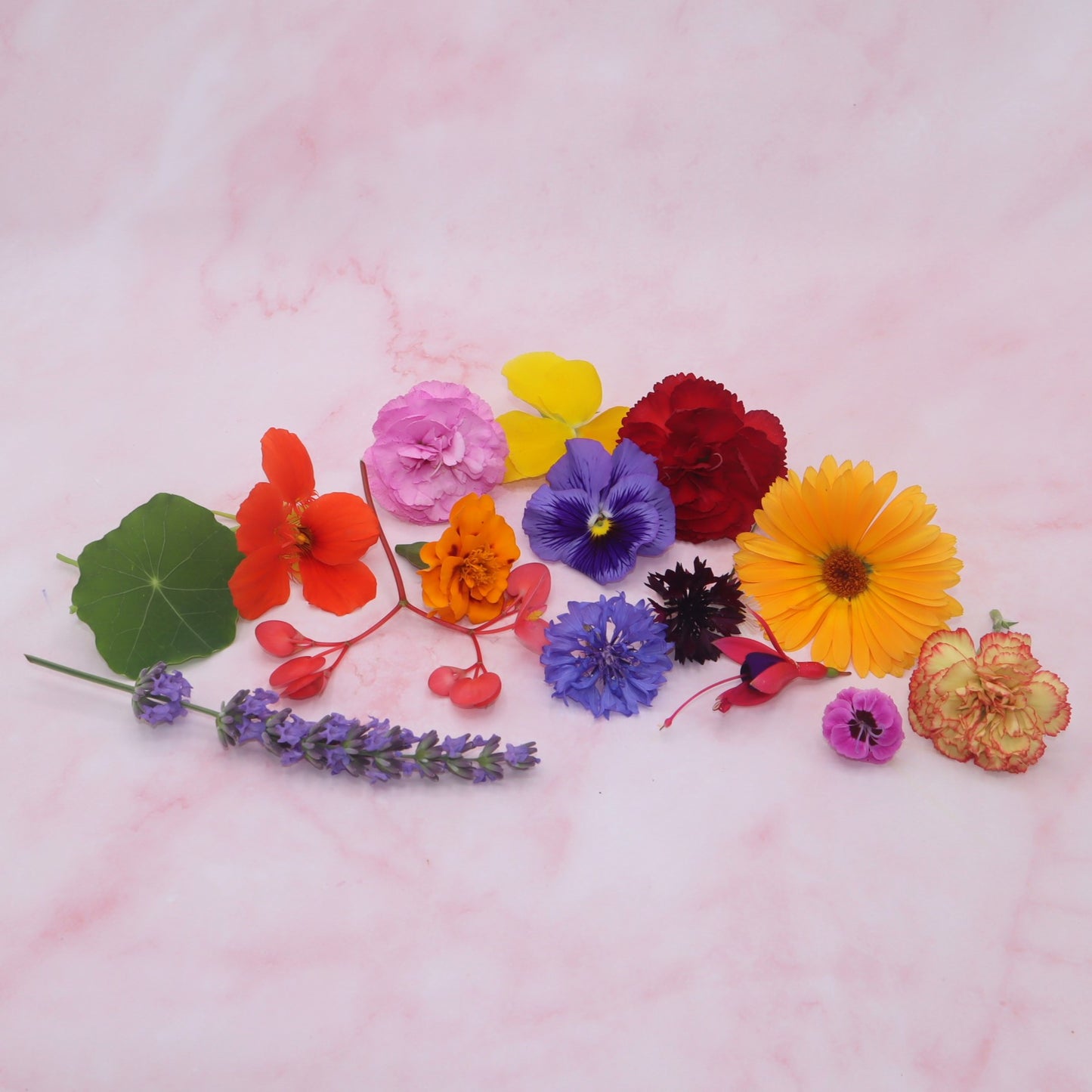 Floral Delight, Bloemenmix, eetbare bloemen. viool, korenbloem goudsbloem. Floral Delight