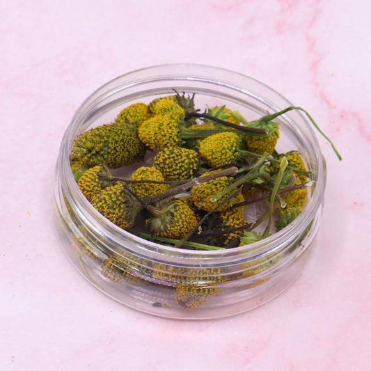 ABC-kruid (Sechuan Button)