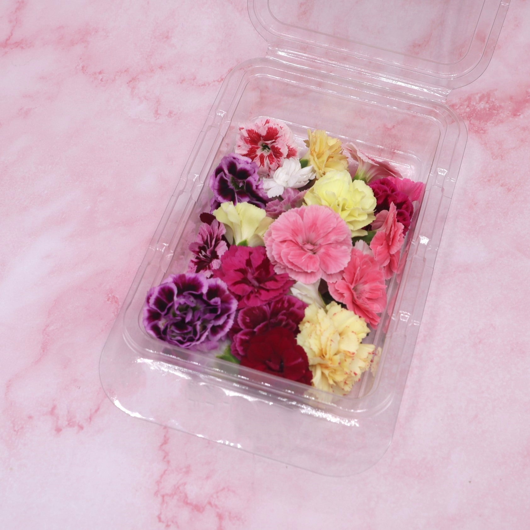 Verse eetbare Anjer - Medium, geel rood roze wit