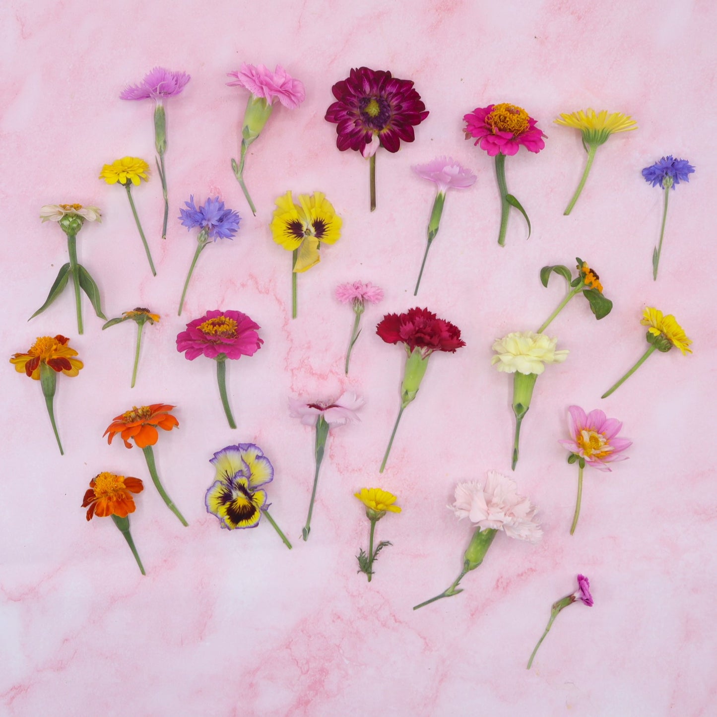 Blumenmischung - Mit Mini-Stiel