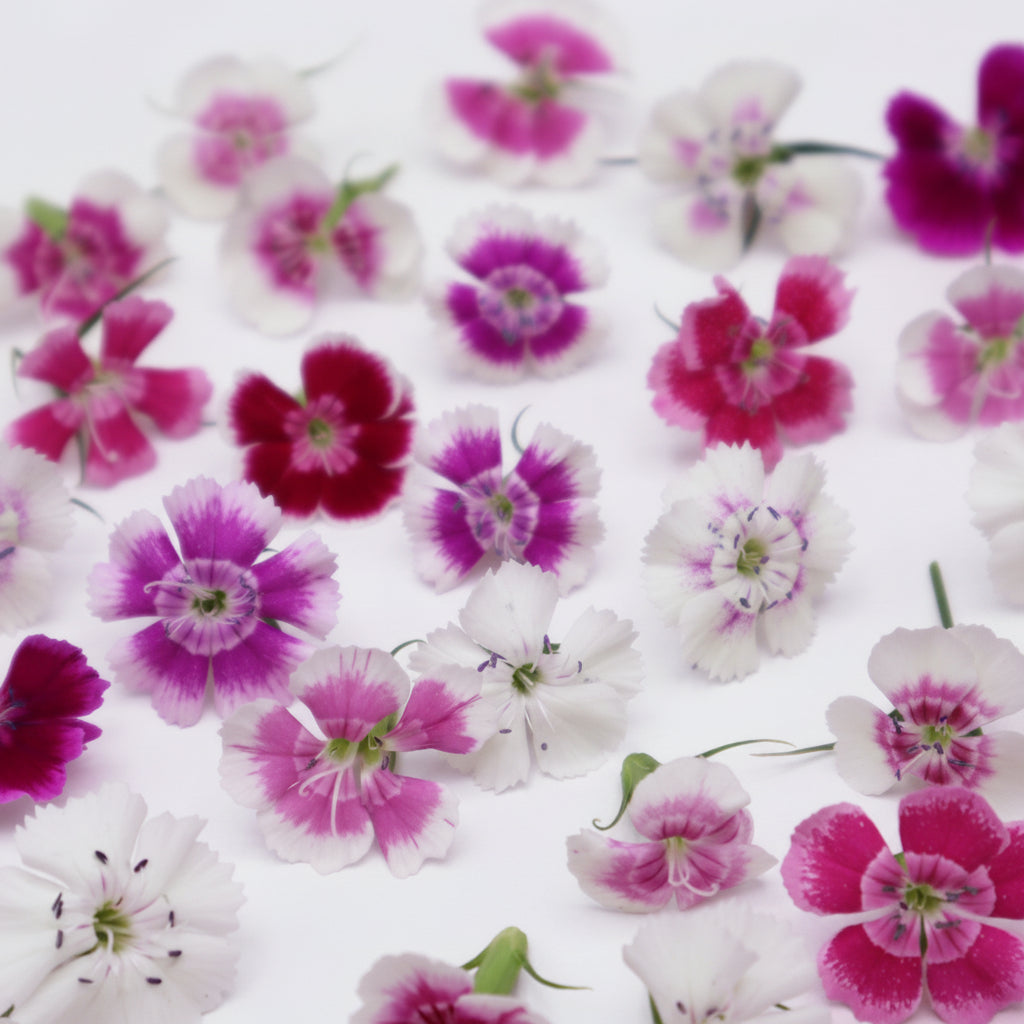 duizendschoon mix, eetbare bloemen. cupcakes, taart, bruidstaart, cocktails. Floral Delight