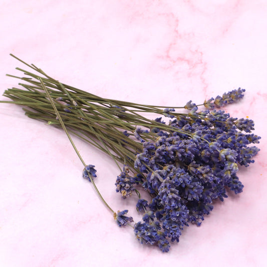 Lavendel