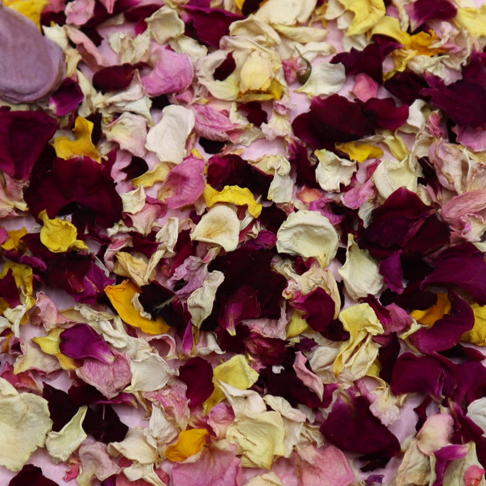 Romantic Rose Petals