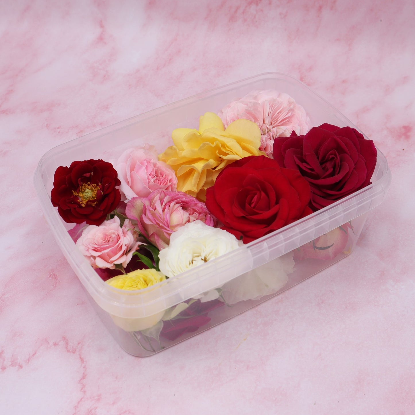 Romantische Rozen