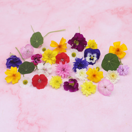 Kleine eetbare bloemenmix. Cupcake, cocktail, garnering