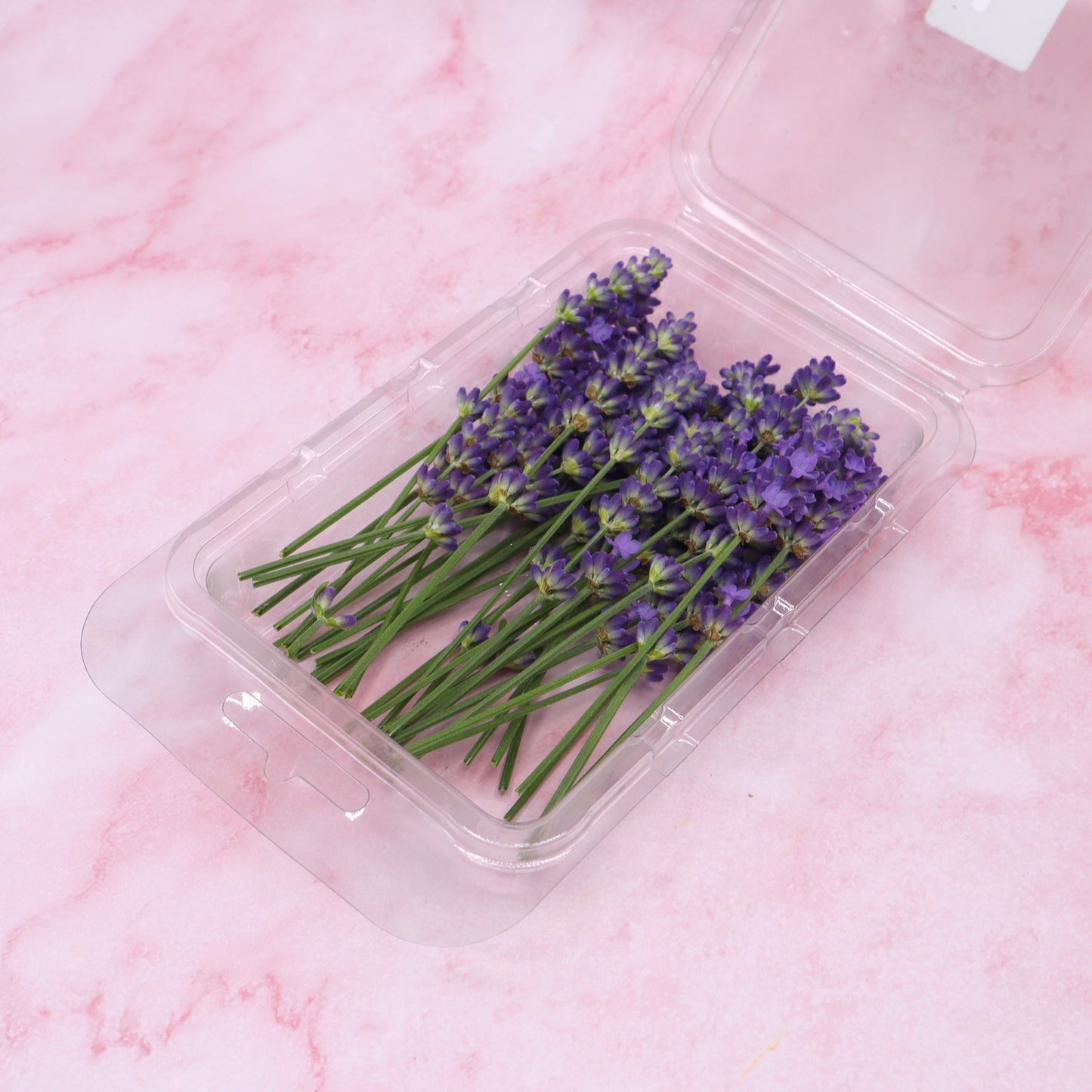 Verse lavendel. Eetbare bloemen, cocktails, champagne, mocktails, garnering, limonades, taarten