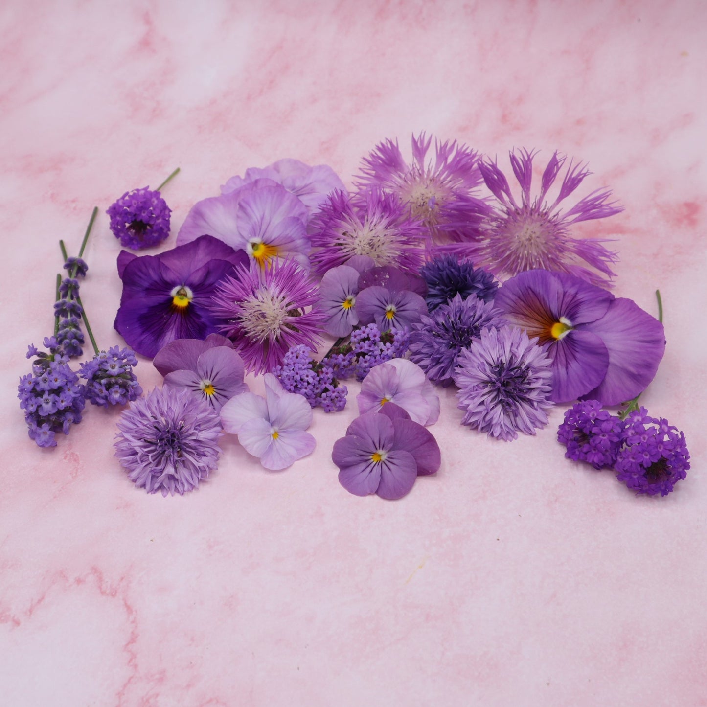 Lila Paarse eetbare bloemen mix. Edible Flowers. Floral Delight