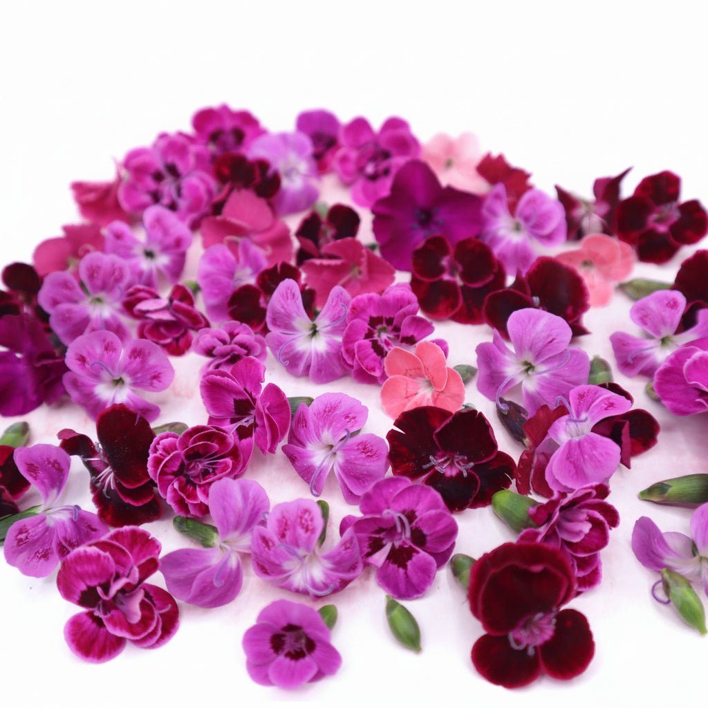 Carnation Mini Mix