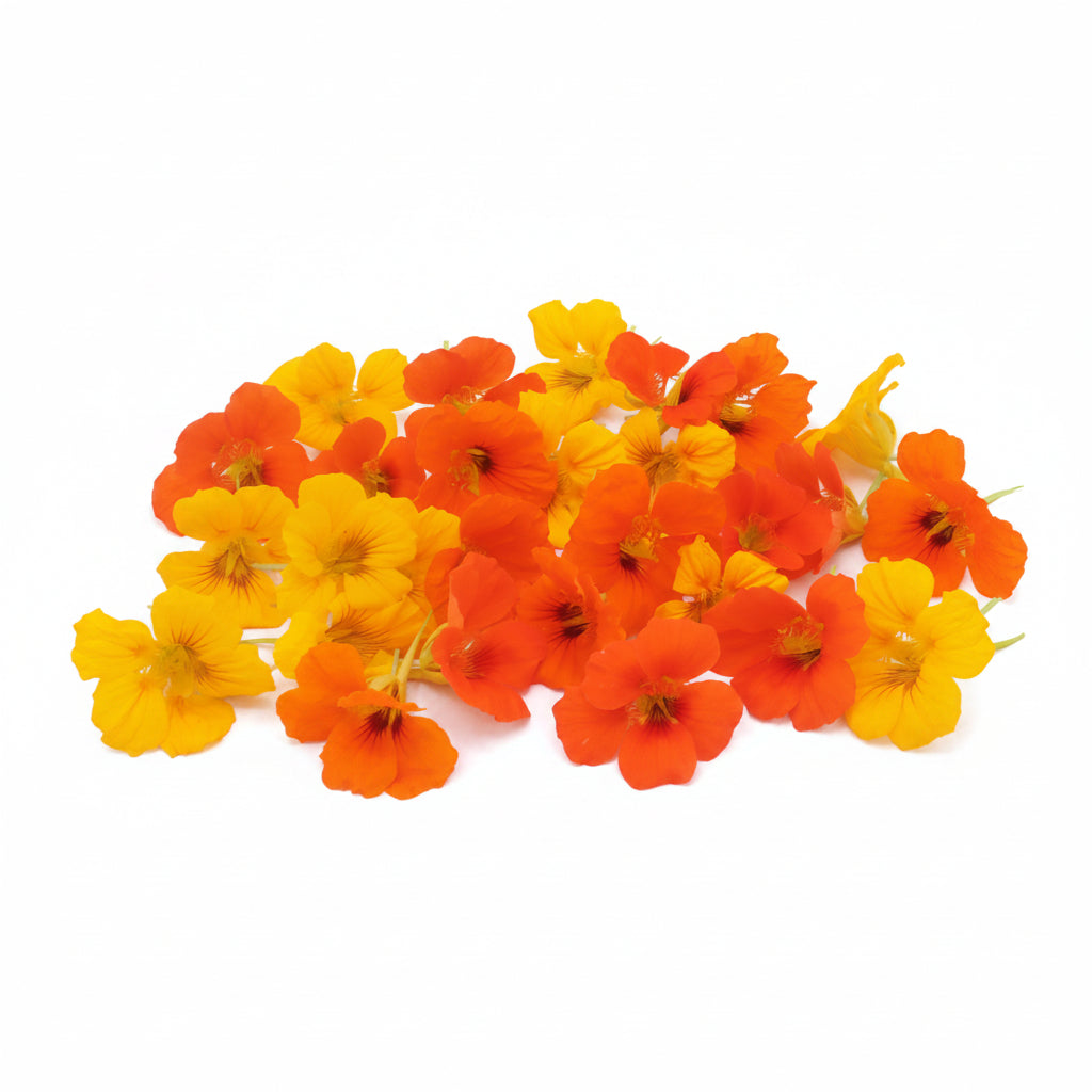 Eetbare Oost-indische kers bloemen, eetbare bloemen, oranje eetbare bloemen
