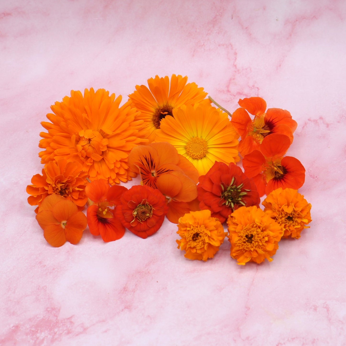 EK Mix Oranje Bloemen Holland