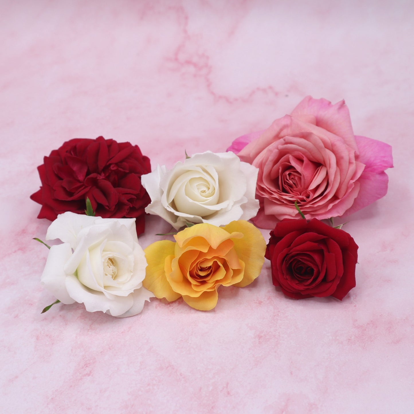Eetbare rozen, rozenblaadjes. Bruidstaart, taart, cocktail, verjaardag, cake