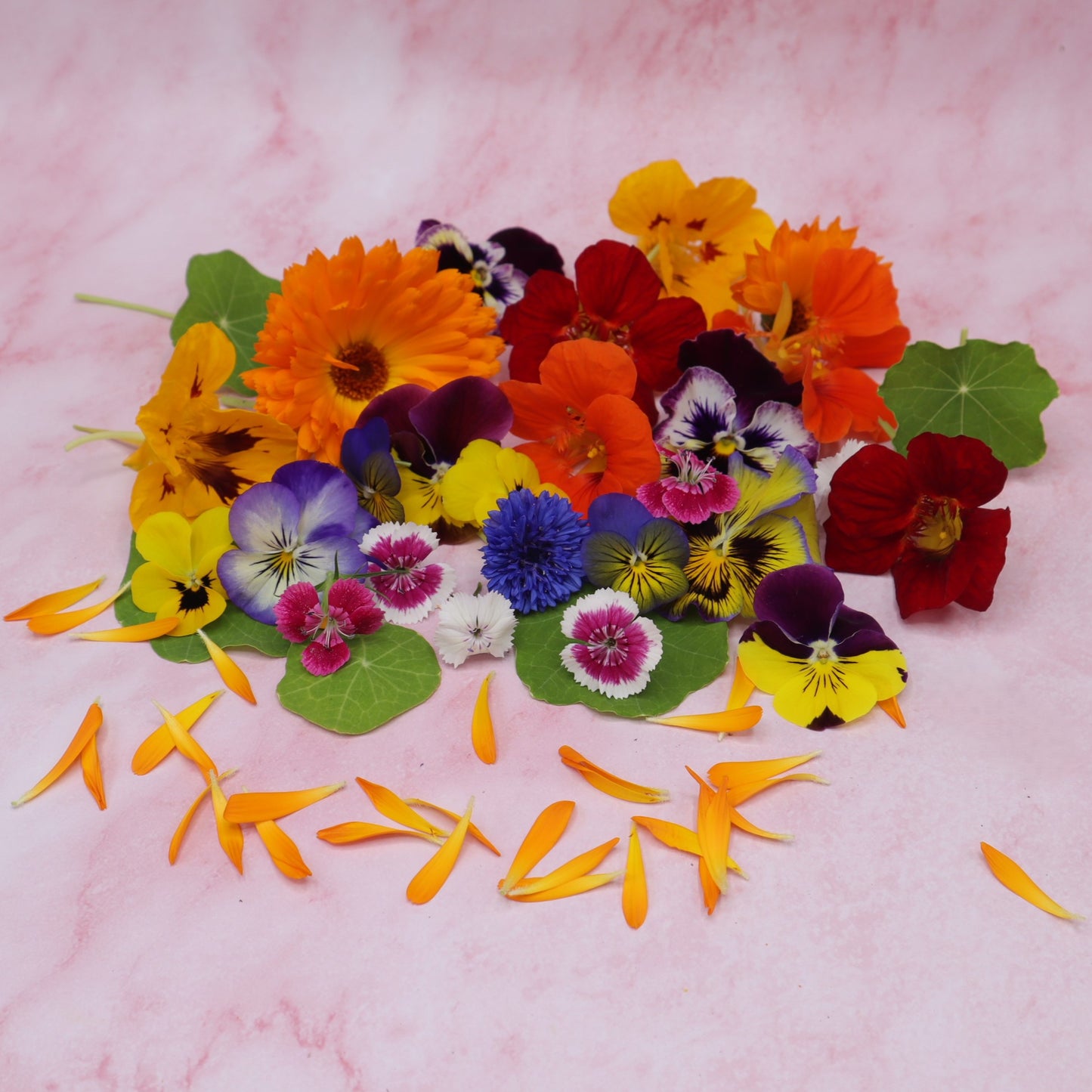 Salad Mix