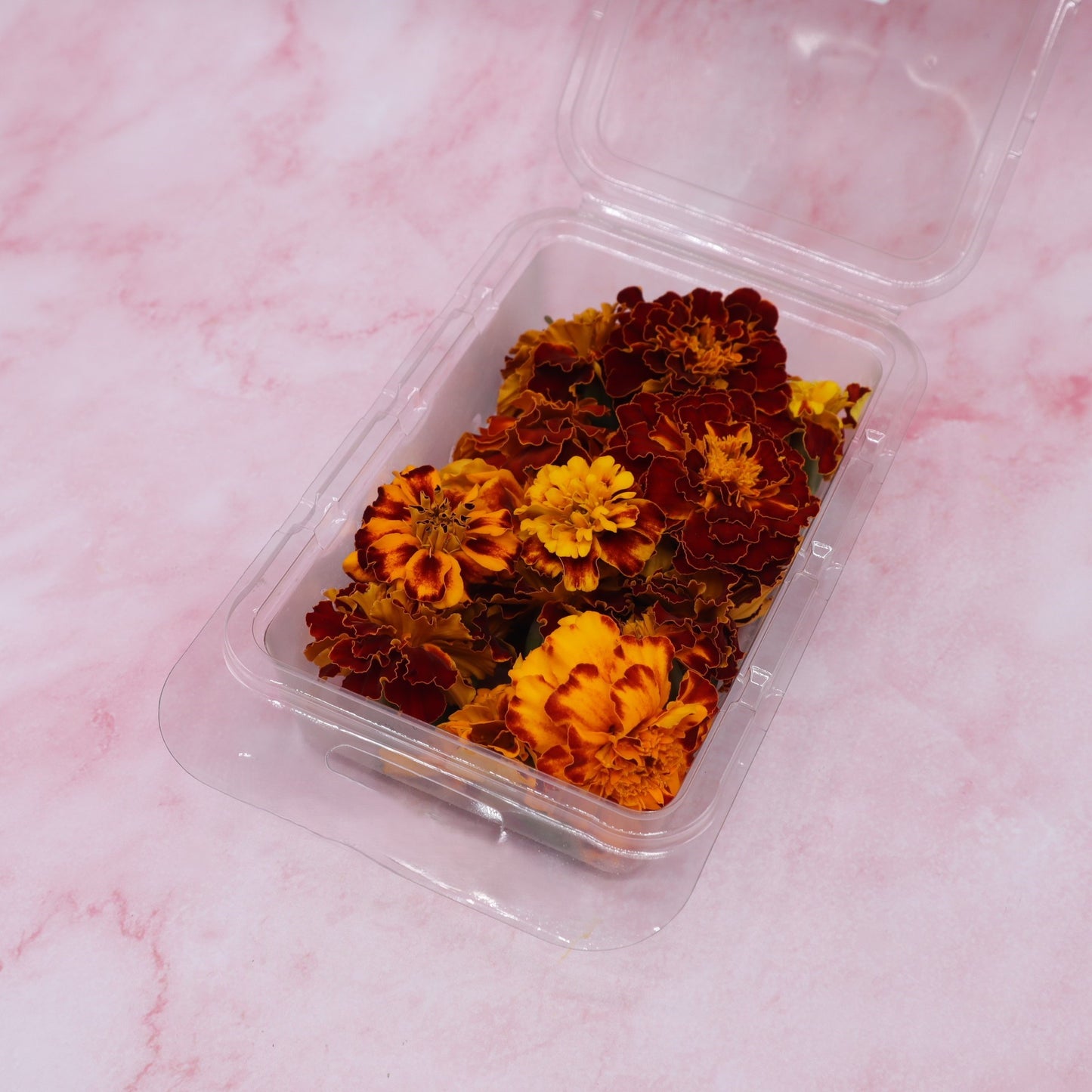 Tagetes vers, afrikaantje Eetbare bloemen. Floral Delight