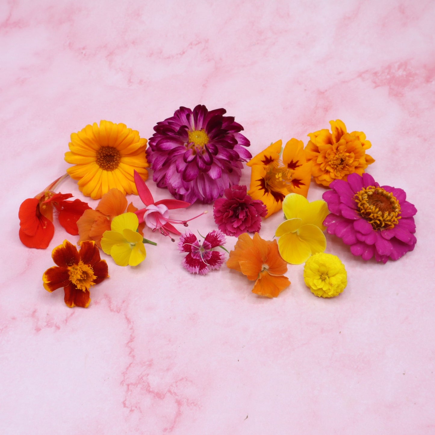 Tropical Mix