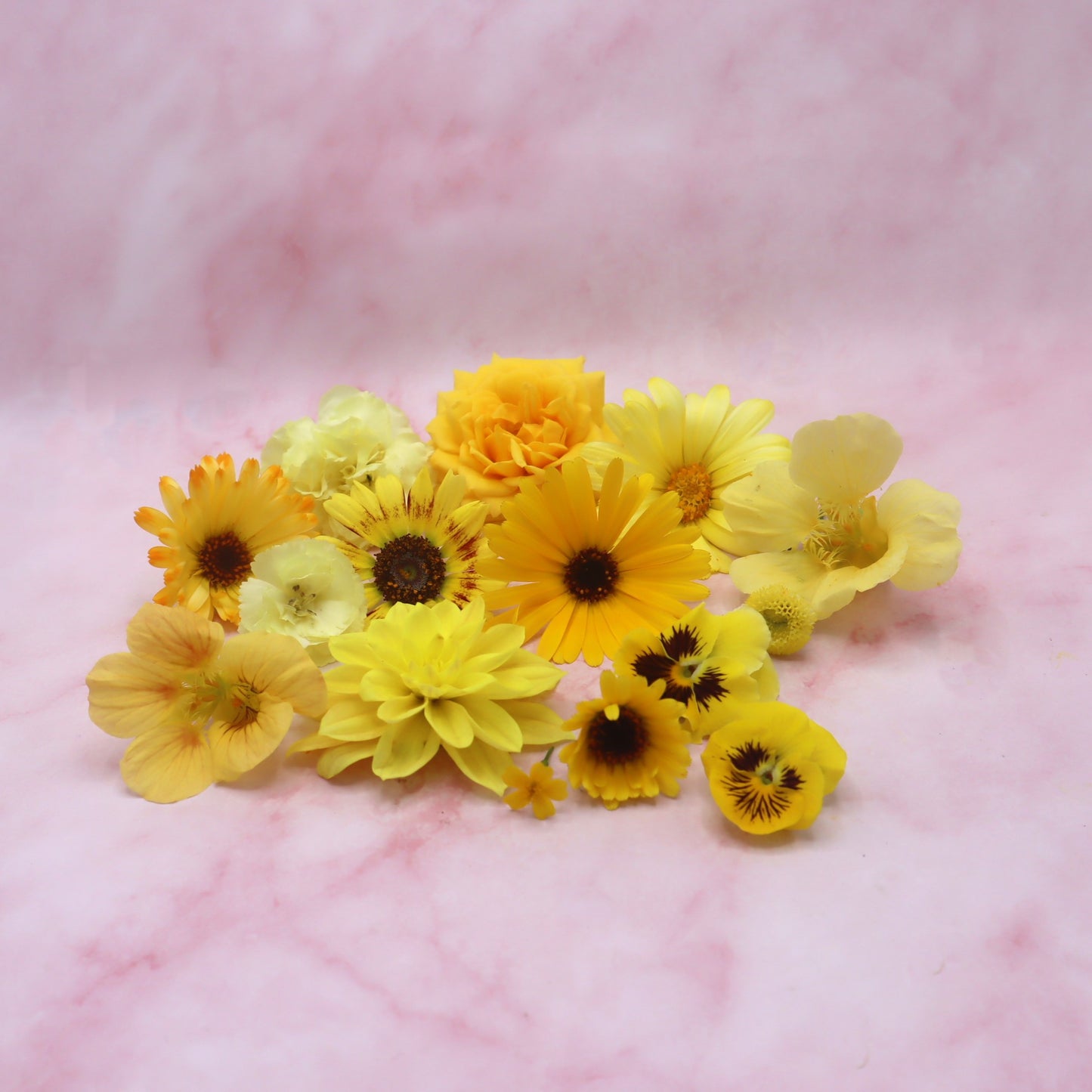 Vrolijke Mix. Eetbare bloemen. Oranje en geel. Edible Flowers. Floral Delight.