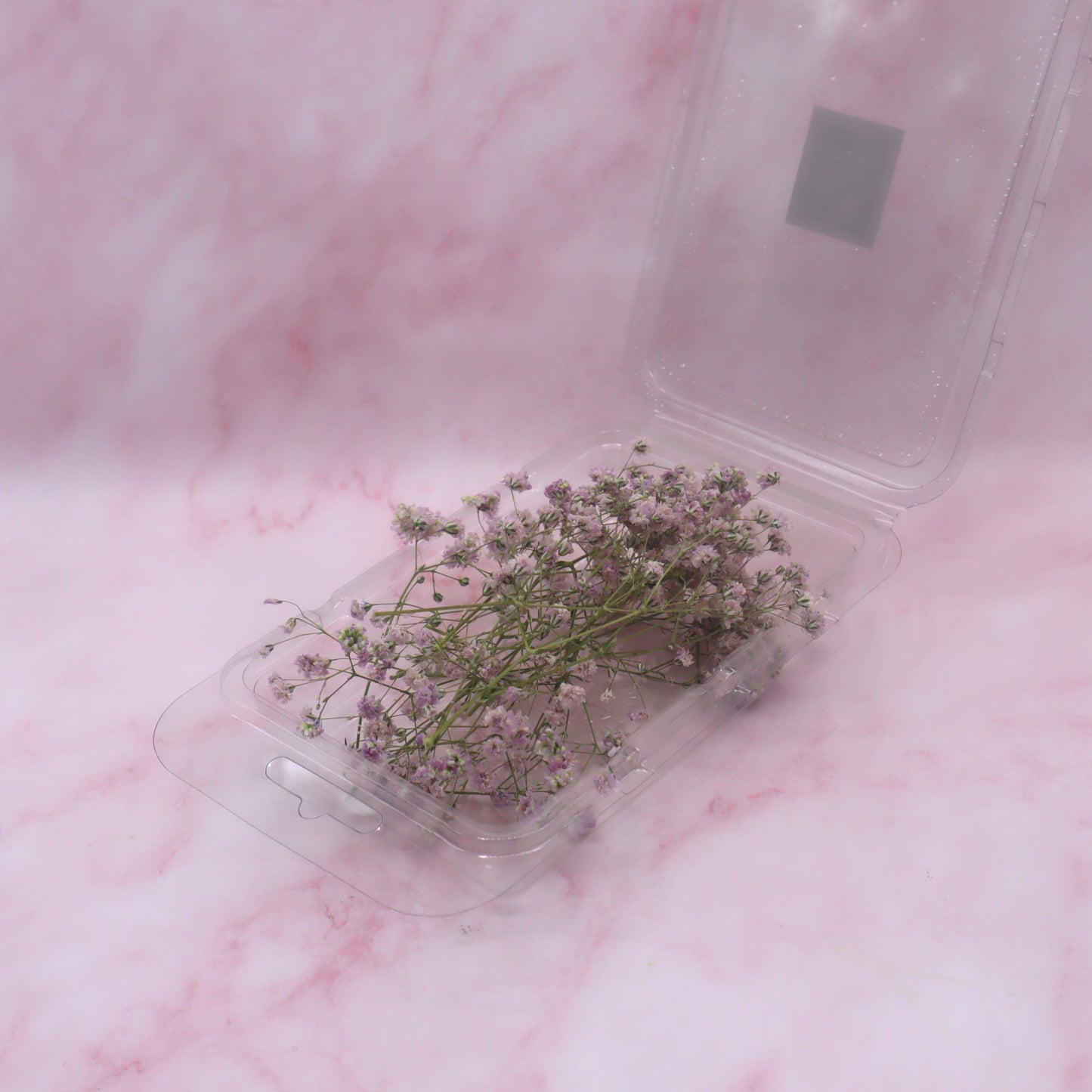 Gedroogd dried gipskruid, roze, bruidstaart, eetbare bloemen bij Floral Delight