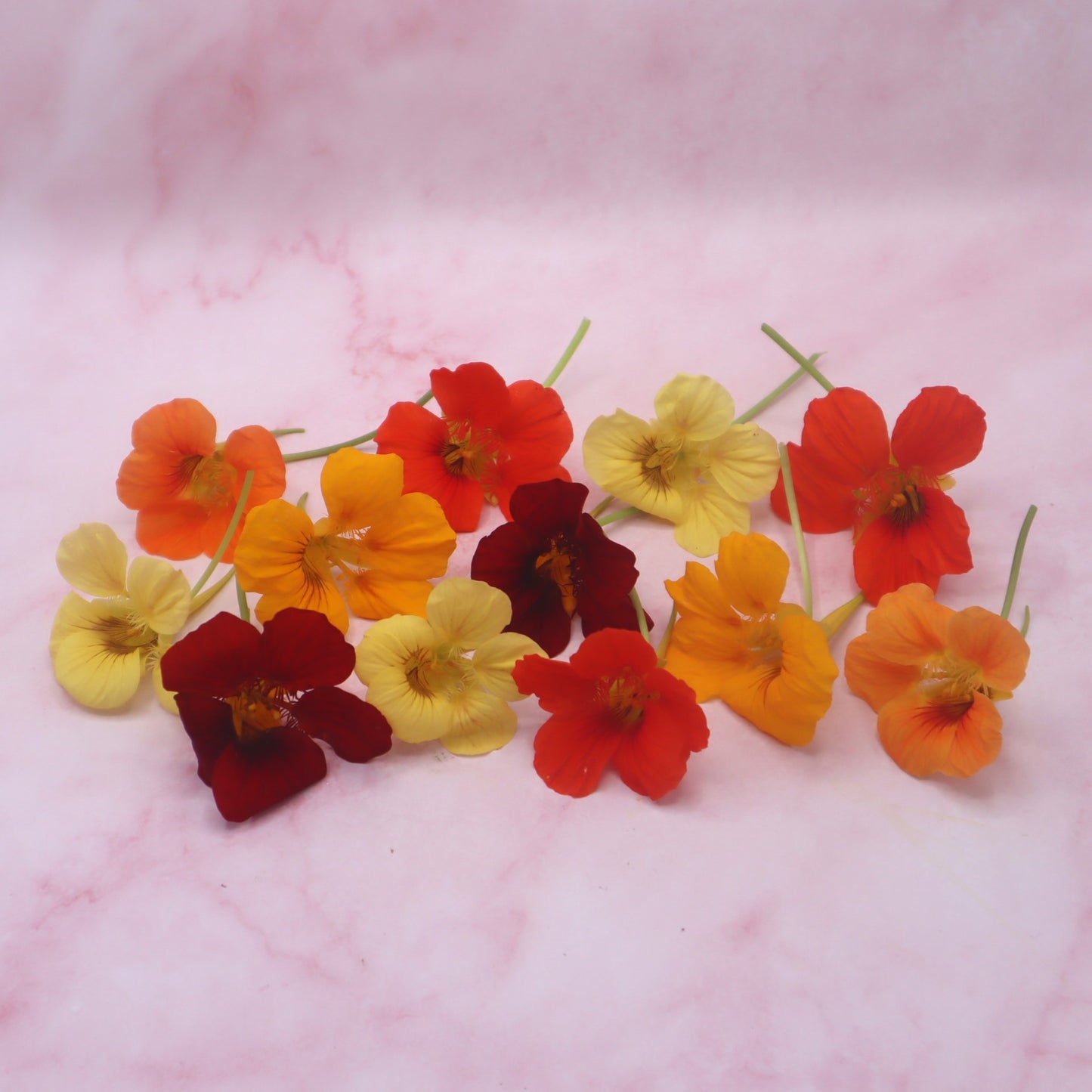 Oost-Indische Kers, OIK, Nasturium. Blad en Bloemen. Eetbare Bloemen. Peper, Radijs smaak. Floral Delight