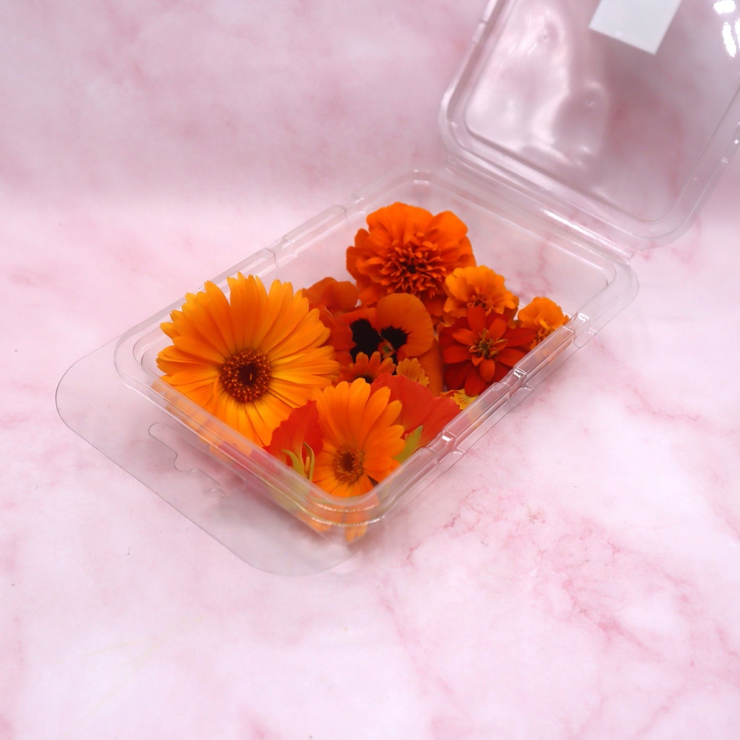 Hollandse Nederlandse Eetbare Bloemen Mix. Oranje, rood, wit, blauw. WK, voetbal Olympische spelen, koningsdag bloemen,