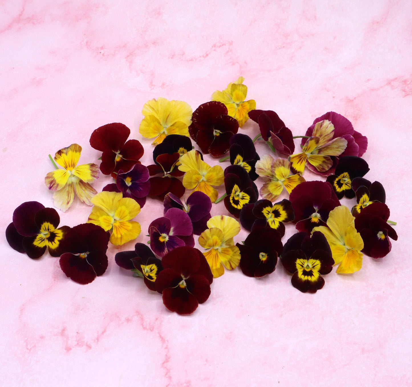Cocktail Mix