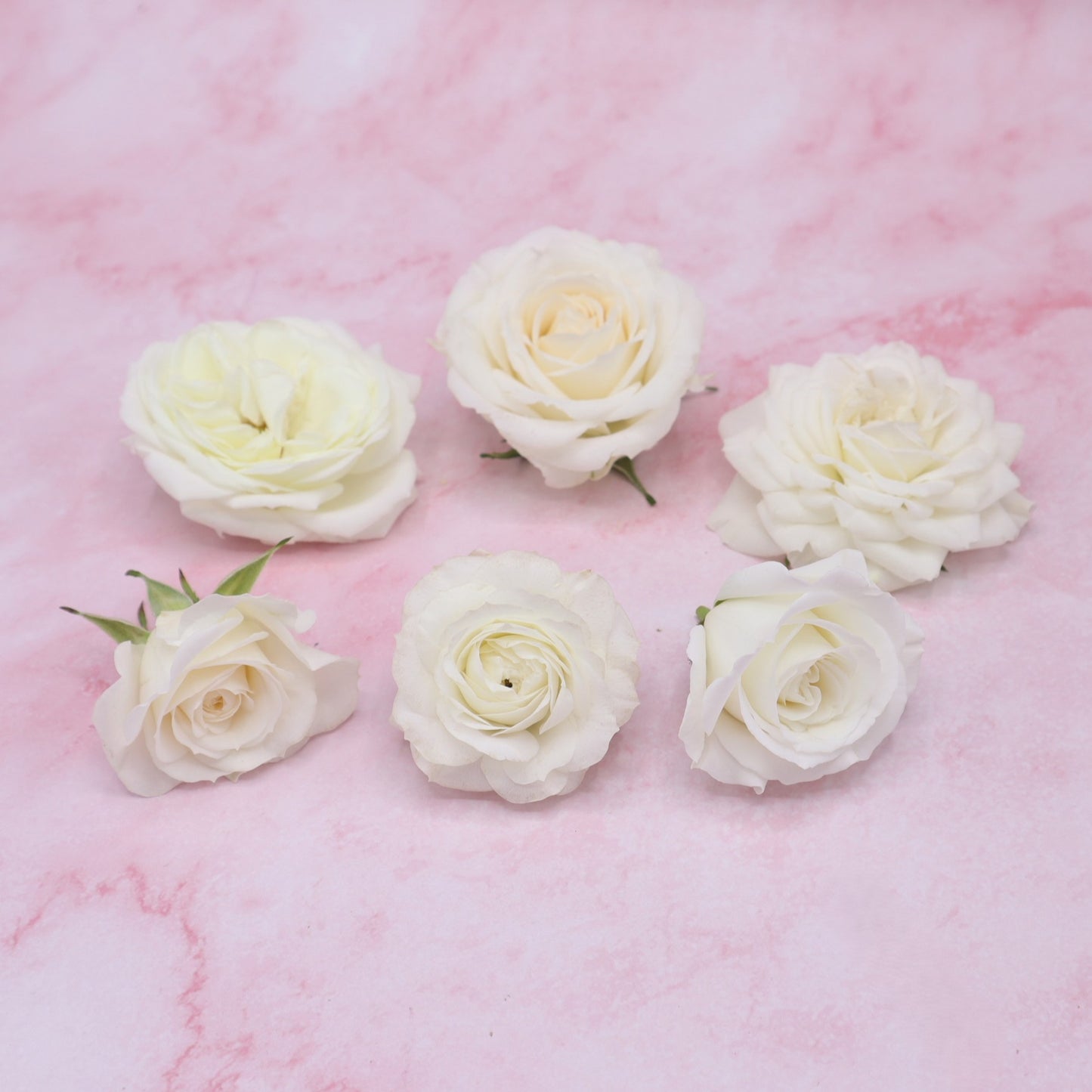 Eetbare rozen, rozenblaadjes. Bruidstaart, taart, cocktail, verjaardag, cake. Eetbare witte Rozen