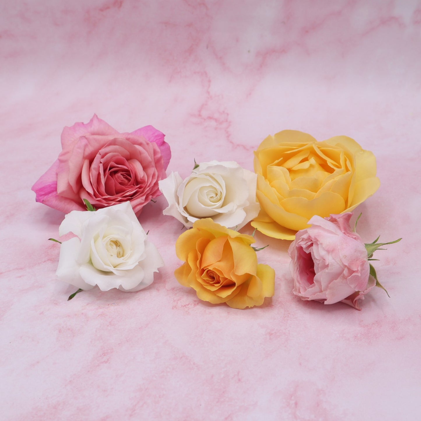 Eetbare rozen, rozenblaadjes. Bruidstaart, taart, cocktail, verjaardag, cake. Pastel, zachte kleuren