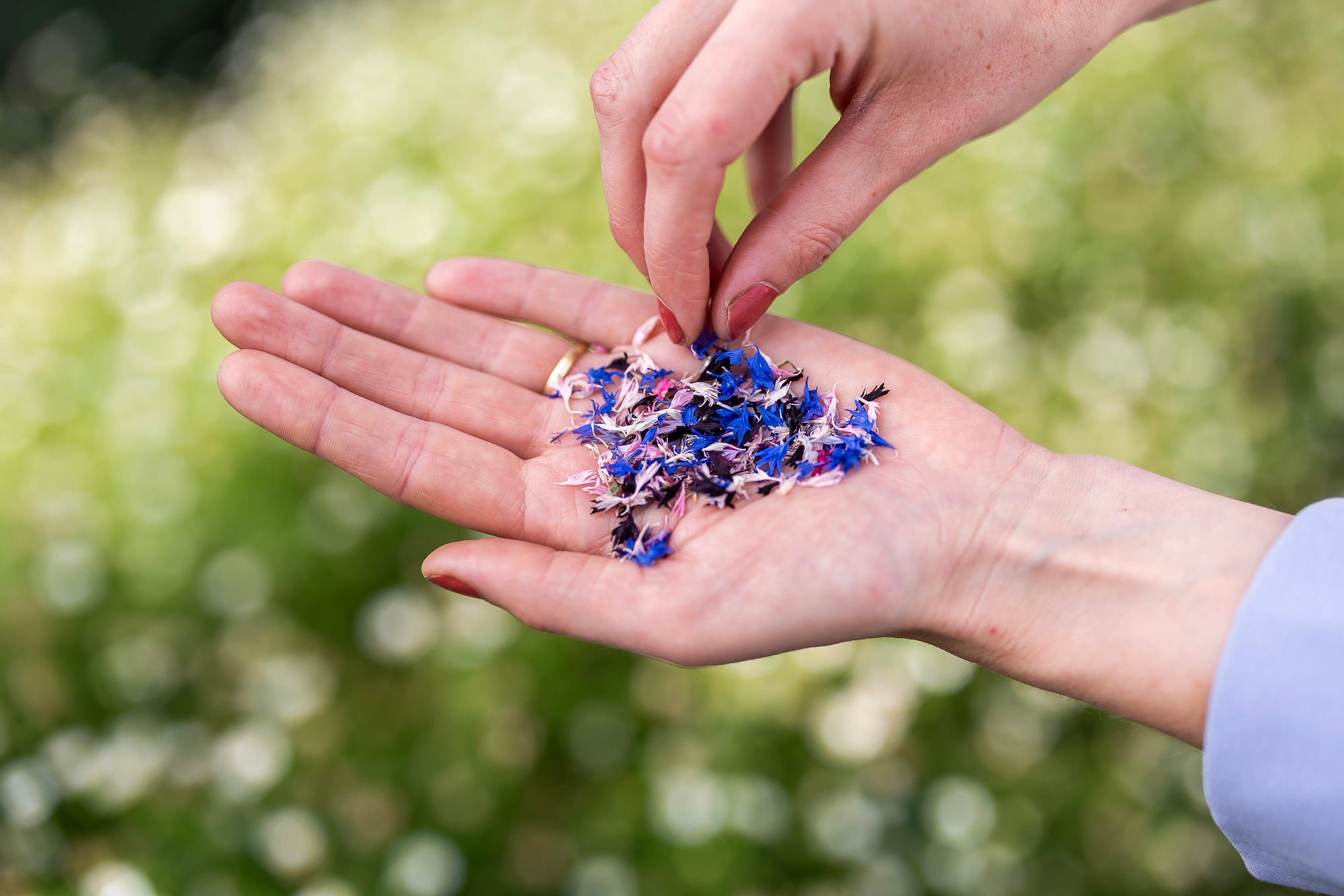 floral confetti. gedroogde eetbare bloemen sprinkle