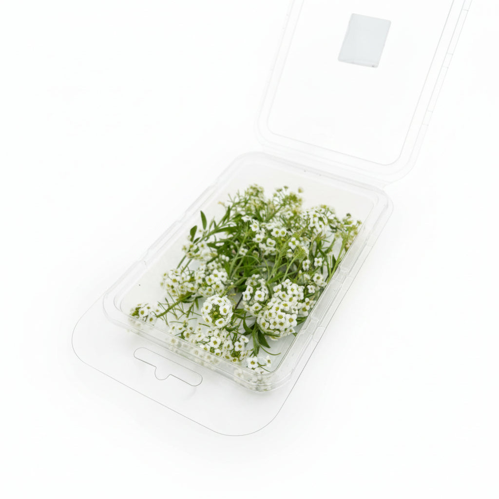 Alyssum wit. Bruidstaart, eetbare bloemen
