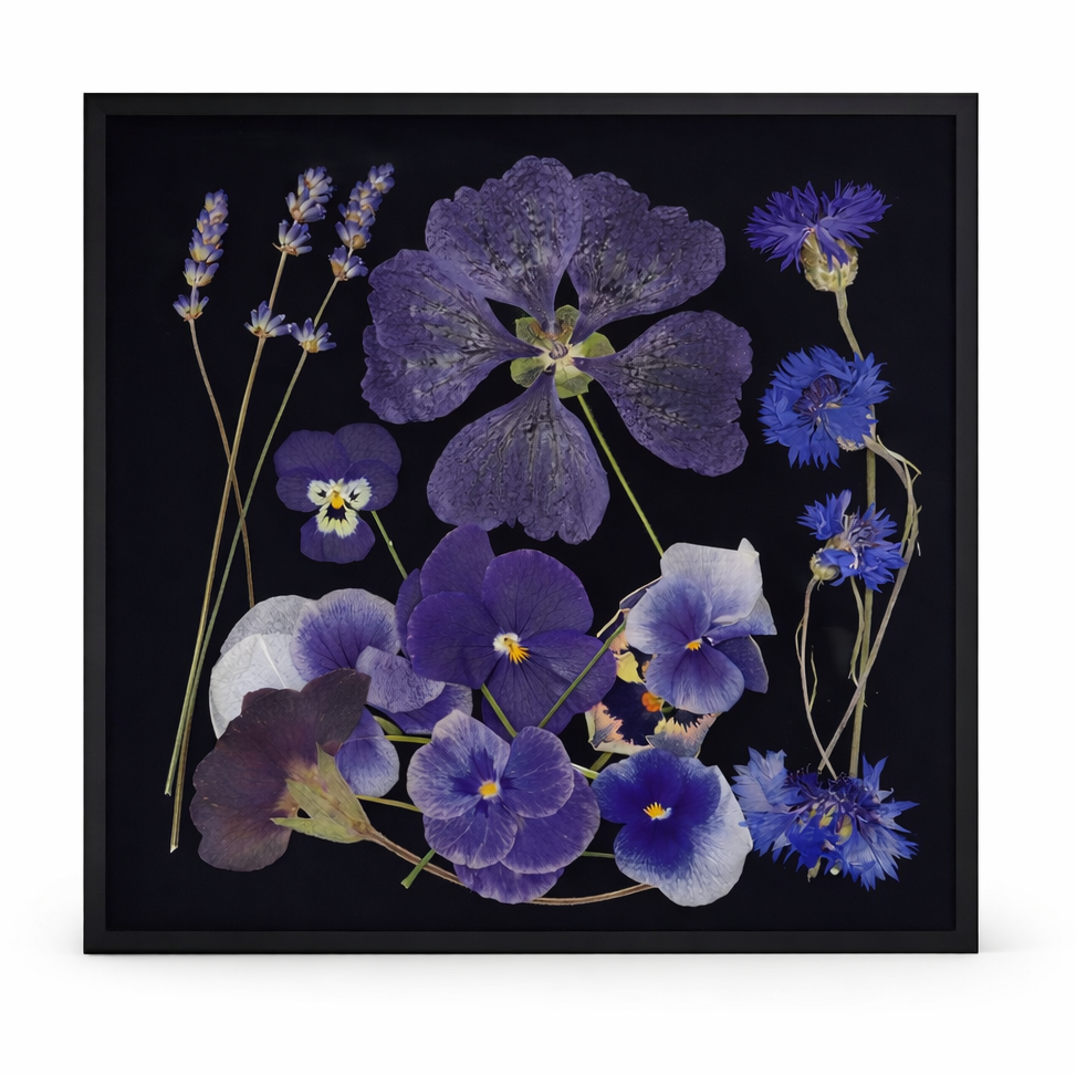 Blauwe paarse Mix geperste bloemen