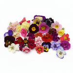 Cupcake Mix. Kleine eetbare bloemen mix perfect voor cupcake of kleine taartjes, gebak