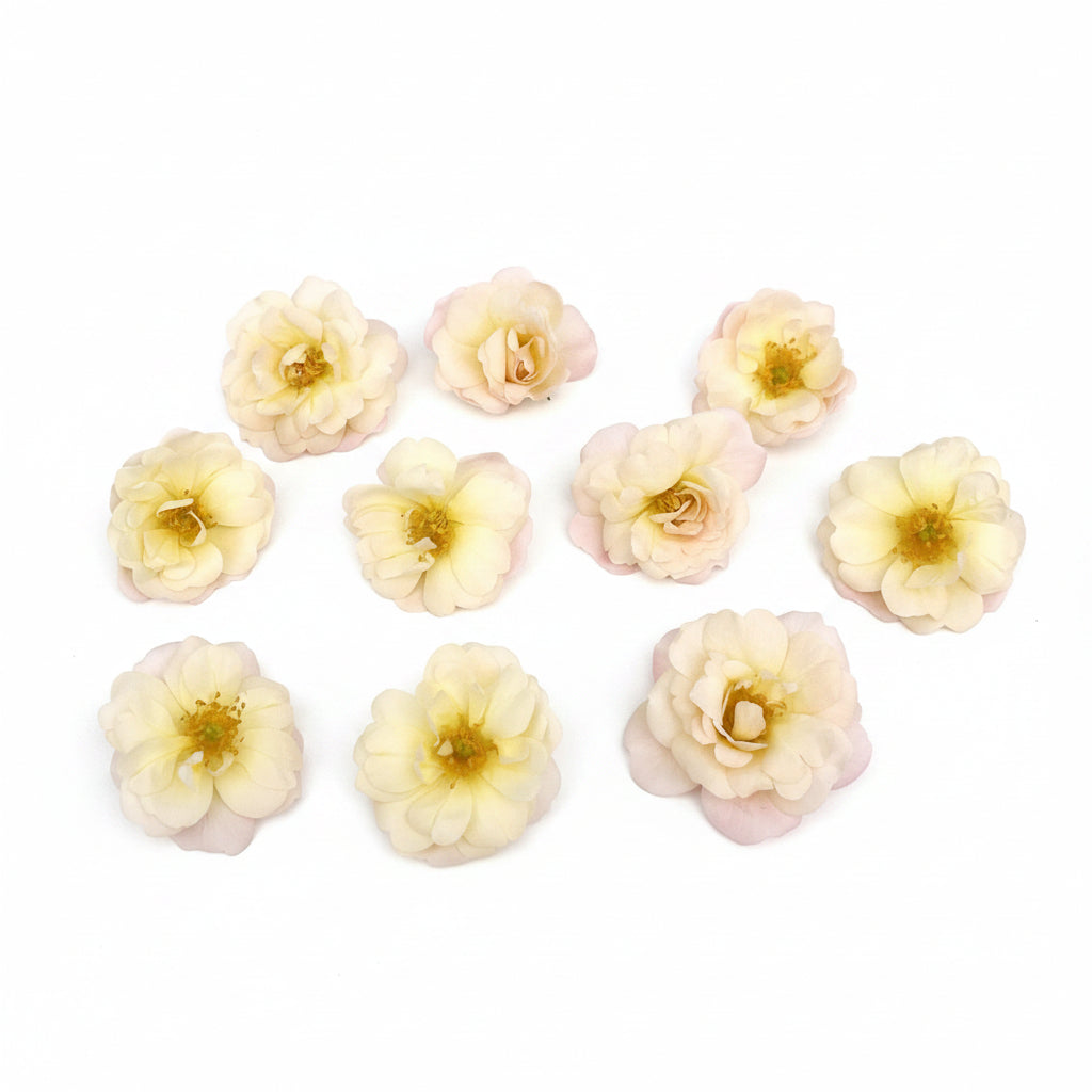 Delicate Roses