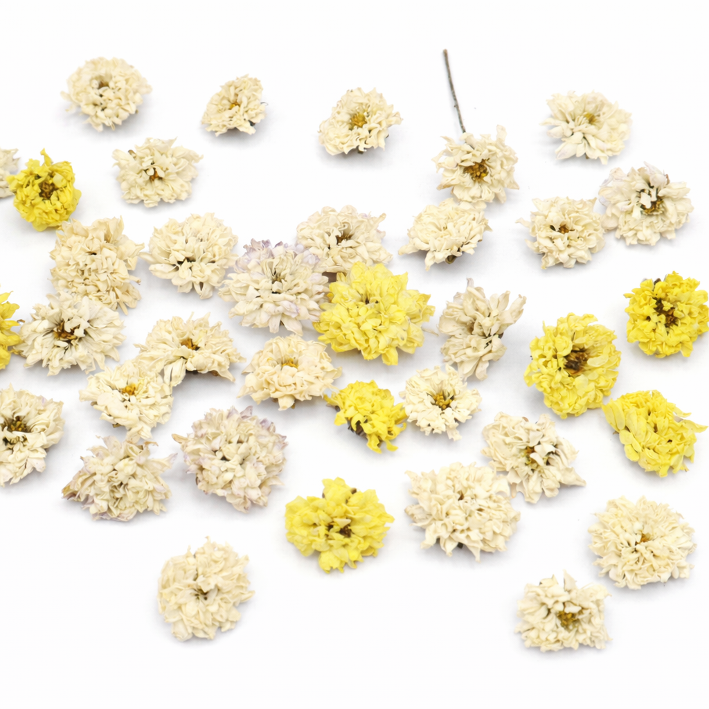 chrysanten voor cupcakes, taarten, baksels