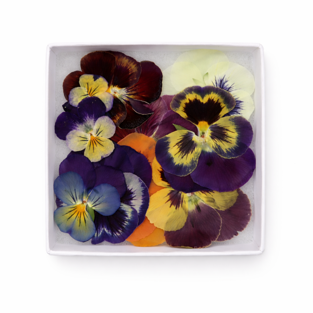 Geperste violen mix, pressed edible flowers Floral Delight