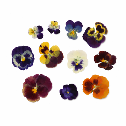 Geperste violen mix eetbaar 
Bruidstaarten, weddingcake 