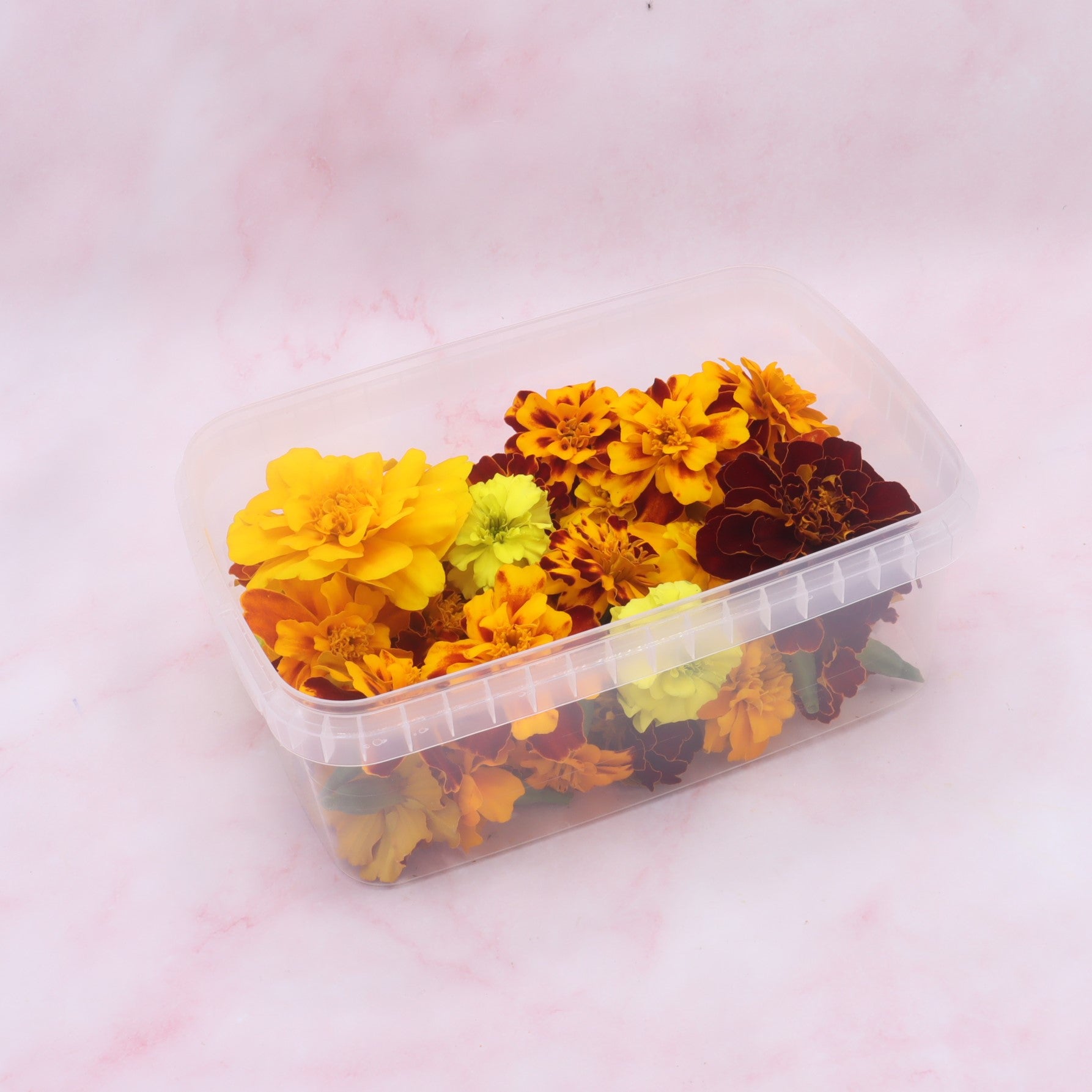 Eetbare Tagetes, Marigold, Afrikaantje, eetbare bloemen, eetbare bloemenshop, floral delight