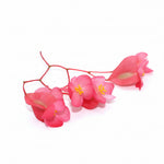 Apple blossom. Eetbare bloemen Floral Delight. Appel smaak