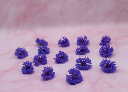 Verse eetbare korenbloem. roze blauw. Floral Delight