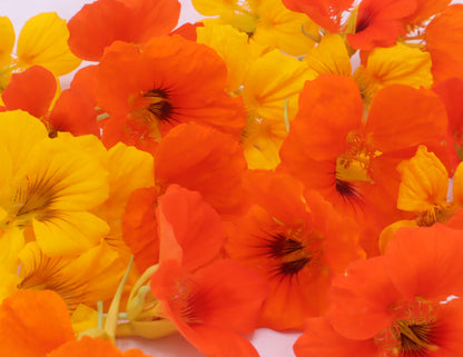 Eetbare Oost-indische kers bloemen, eetbare bloemen, oranje eetbare bloemen webshop