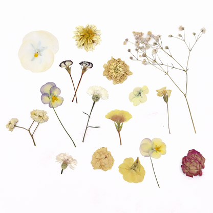 Zachte lichte kleuren geperste eetbare bloemen voor bruidstaarten