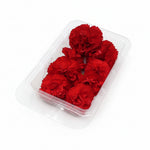 Verse eetbare Anjer - Groot, geel rood roze wit