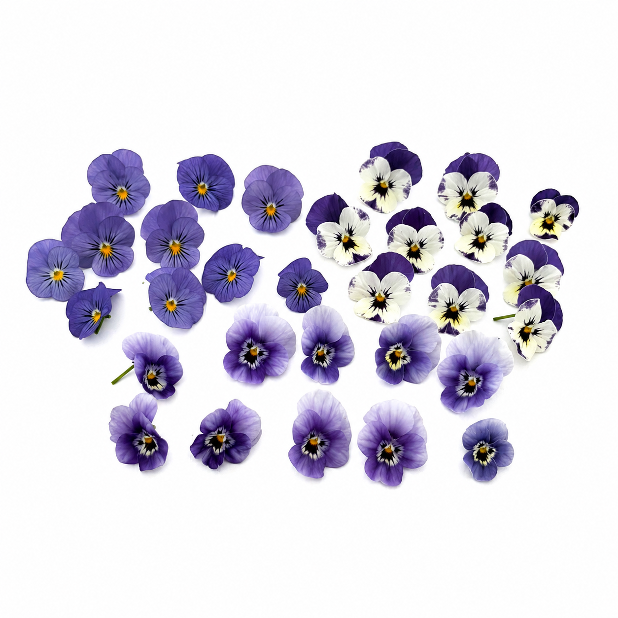 cocktail mis blauw viooltjes