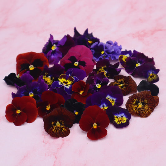 Donker kleurige eetbare viooltjes. Rood, Paars, Zwart. Floral Delight