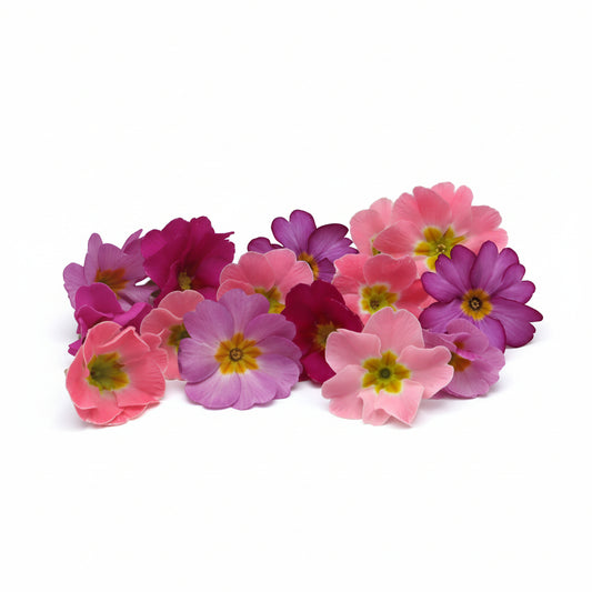 eetbare primula roze eetbare bloemen kopen