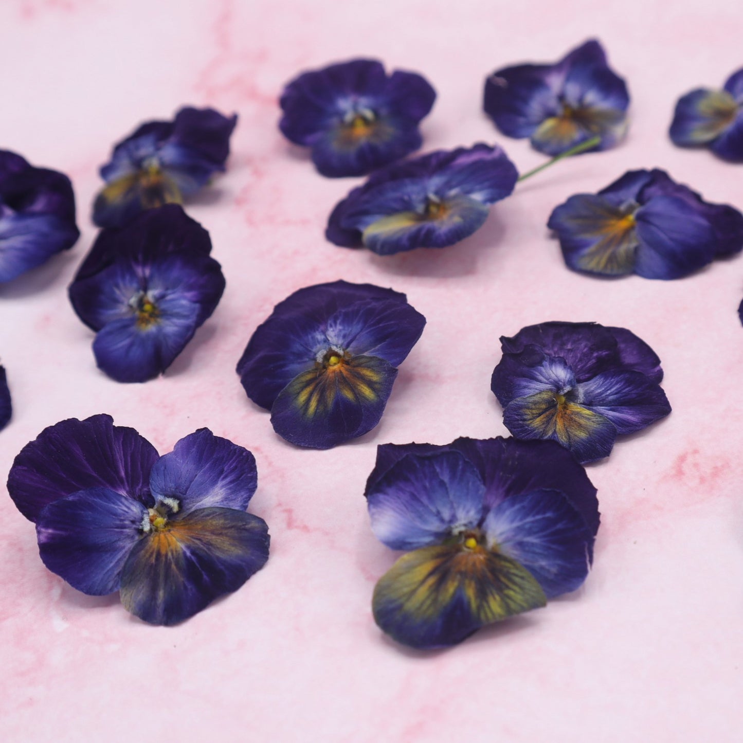 Donkere gevriesdroogde eetbare bloemen. Freeze-dried edible flowers