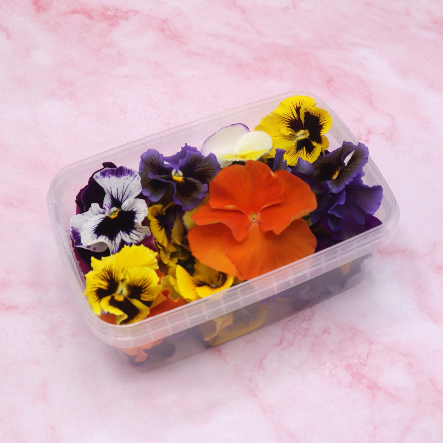 Grootverpakking horeca Eetbare violen Mix Floral Delight