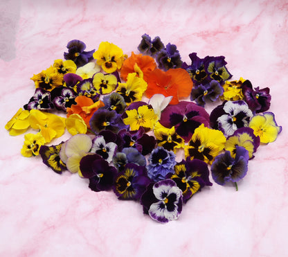 Grootverpakking horeca grootbloemige Eetbare violen Mix Floral Delight